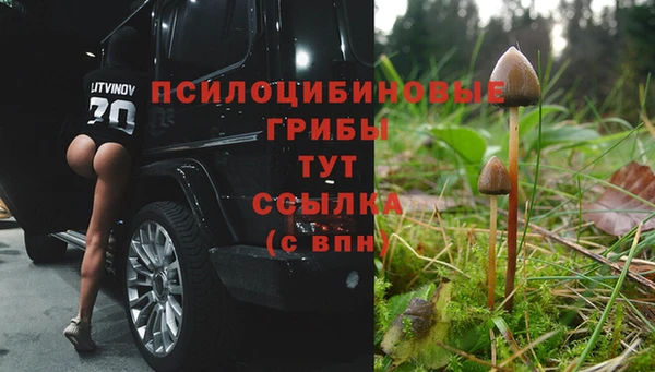 гидра Алапаевск